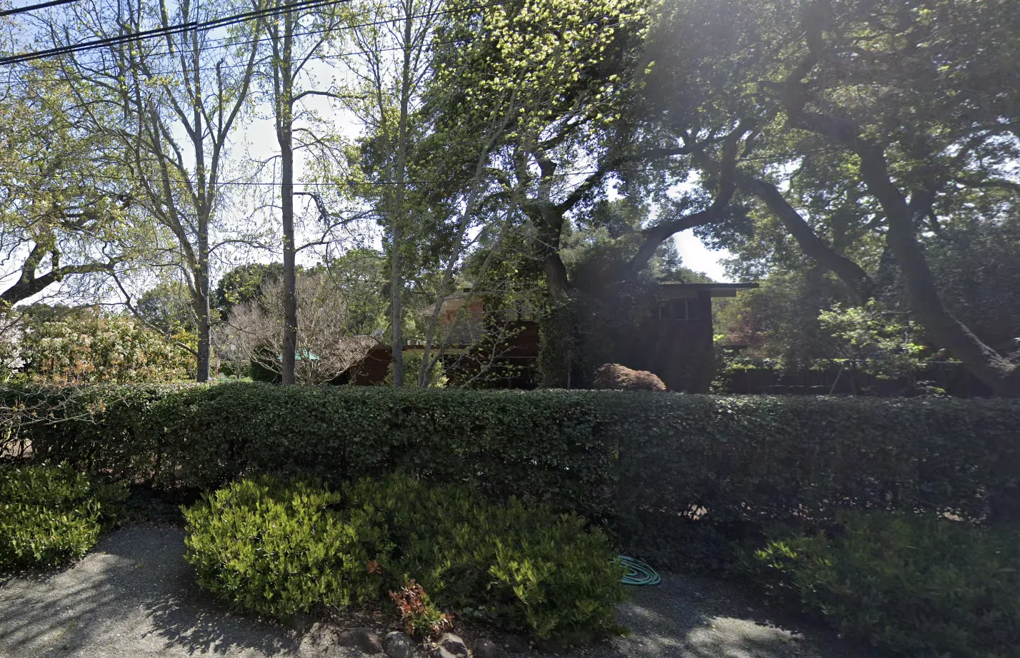 A view from the road of an Atherton Eichler: almost nothing visible but a clipped hedge and trees, with a dark roofline behind.