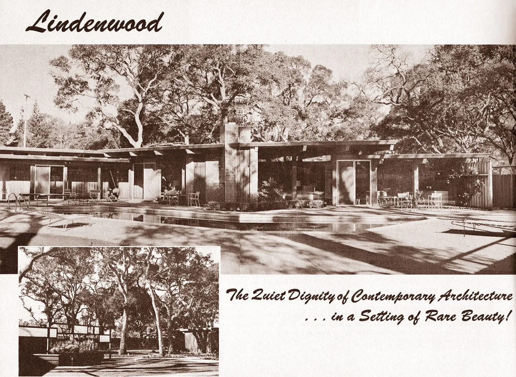 The Lindenwood page of the brochure: a long single-storey house with deep overhangs and glass walls behind a swimming pool, under mature oaks, with a smaller photograph of a fenced garden below and the line about the quiet dignity of contemporary architecture in a setting of rare beauty.
