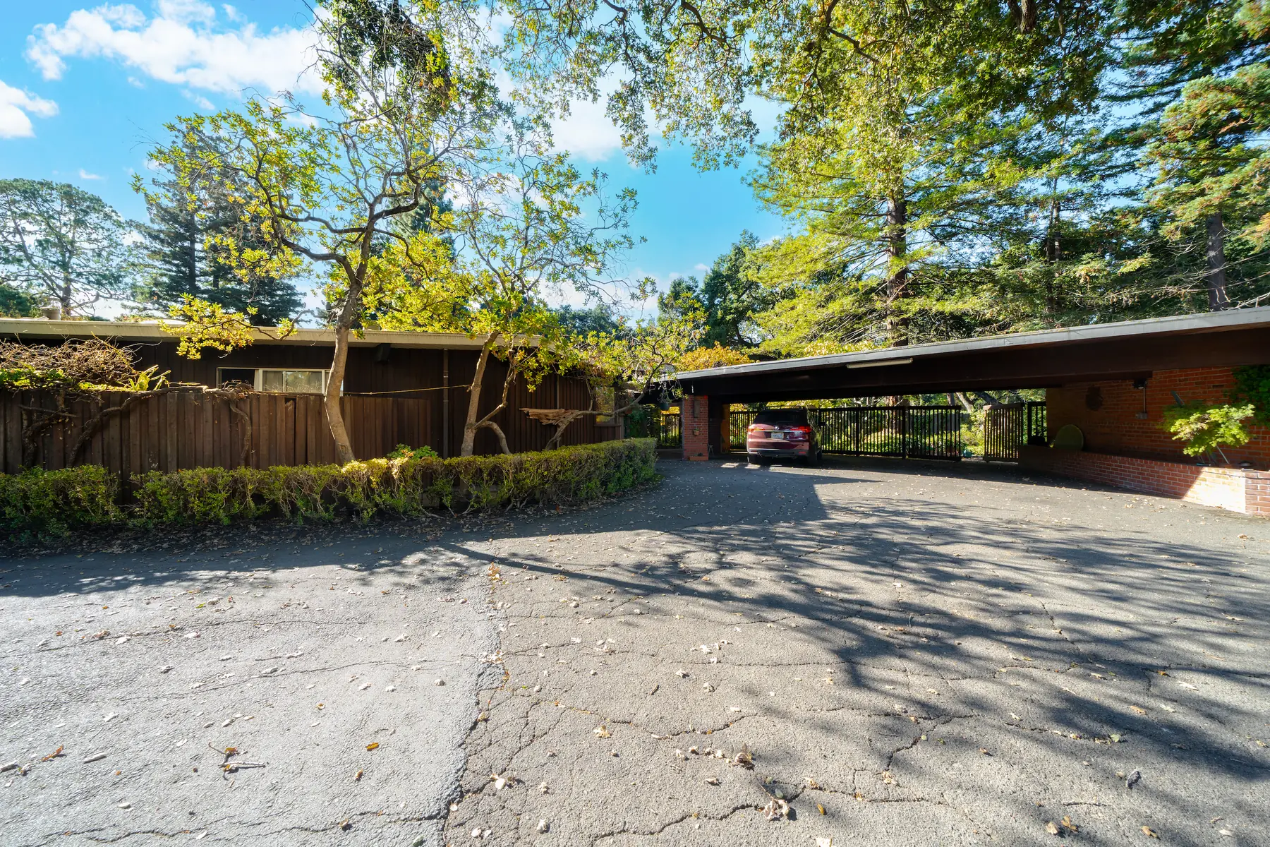 The approach to 19 Irving Avenue: a low house clad in dark vertical board-and-batten behind a clipped hedge, its flat roof running out over an open carport on brick piers, under oaks and redwoods.