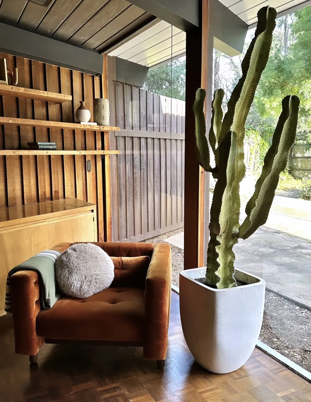 Built-in wooden shelving and a cabinet beside a full-height glass wall looking onto a fenced court, with a velvet armchair and a tall cactus in a concrete pot.